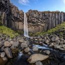 Chute d'eau de Svartifoss en Islande par Dieter Meyrl Aperçu