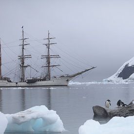 Antarktische weiße Stille von ad vermeulen
