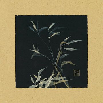 Bamboo II, Chris Paschke