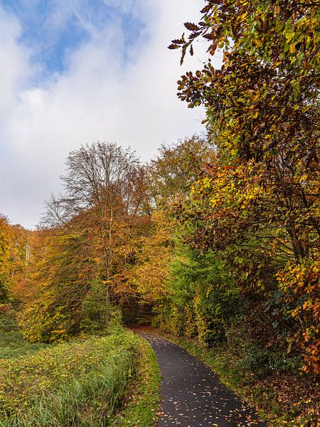 Landscape in autumn in the Feldberg lake district by Rico Ködder