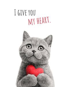 Gift of the heart
