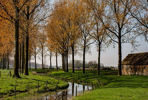 Polderlandschap