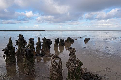 Wattenmeerküste beim Sex-Bier