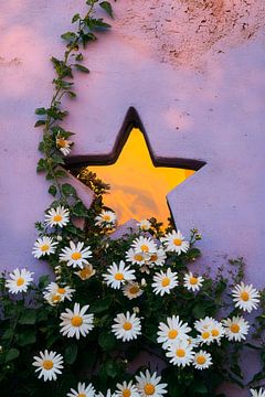 Bloemen voor een stervormig raam van Poster Art Shop