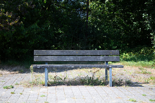 Ontdek de natuur in een bosrijk gebied in Emsland, Nedersaksen, Duitsland