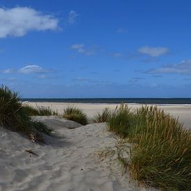 Duinen van Alexandra Bijl