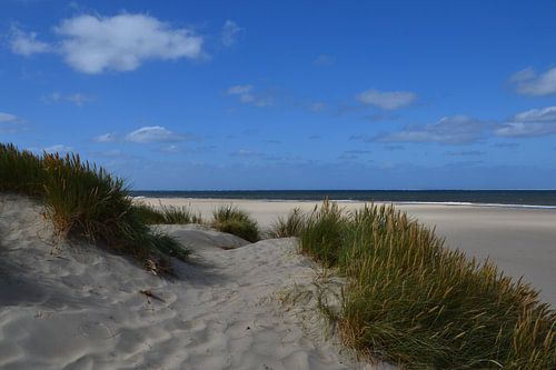 Duinen