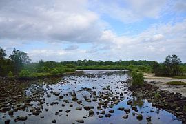 Mooloolah Flussinsel Buschland von Frank's Awesome Travels