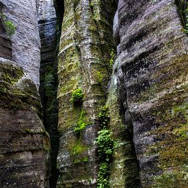 Felsen von Remke Maris