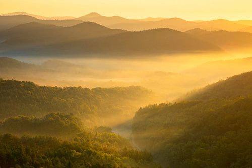 Sunrise over the Palatinate Forest
