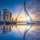 Rotterdam Sunset van Michel Jansen thumbnail