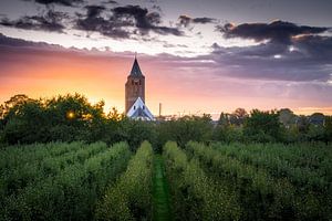 Zonsondergang in Lienden