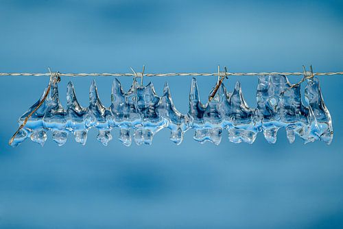 IJS- erwire. ice art.