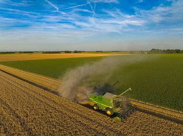 Combine oogst tarwe tijdens de zomerv van Sjoerd van der Wal Fotografie