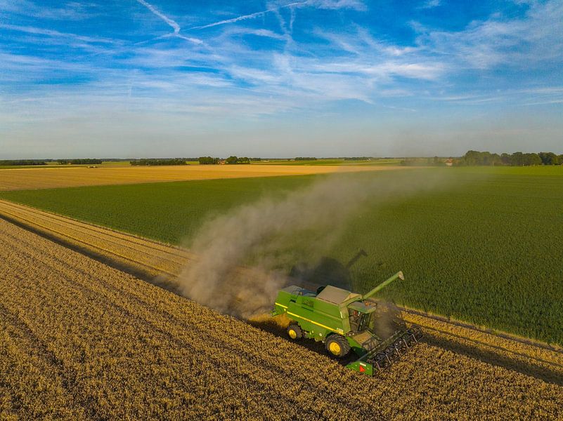 Combine harverster harvesting wheat during summer se by Sjoerd van der Wal Photography
