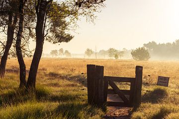 Strabrechtse Heide 216 by Deshamer