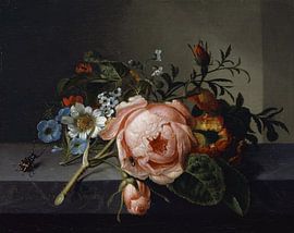 Stillleben mit Rosenzweig, Käfer und Biene (1741), Rachel Ruysch