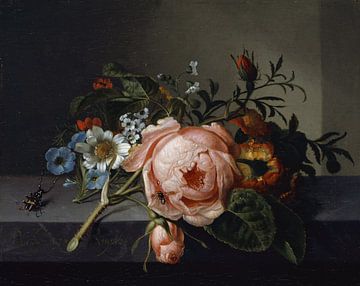 Stillleben mit Rosenzweig, Käfer und Biene (1741), Rachel Ruysch