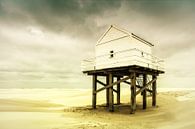 Beachcomber House. by Nanouk el Gamal - Wijchers (Photonook) thumbnail