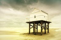Beachcomber House.