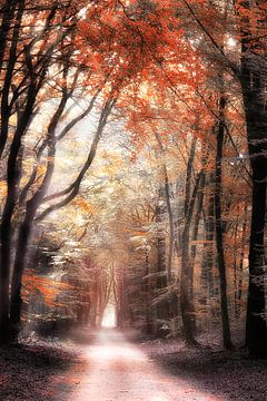 Autumn Red sur Rigo Meens