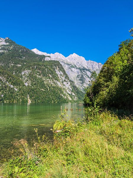 View of the Königssee in Berchtesgadener Land by Rico Ködder