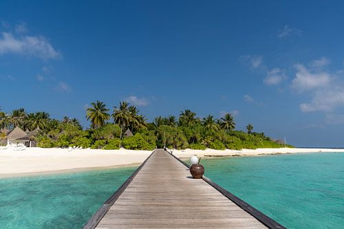 De weg naar het paradijs