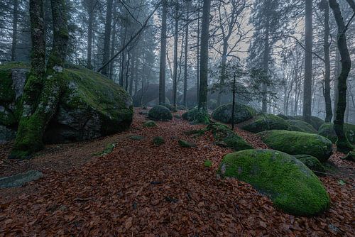 Germany - Black Forest - Günterfelsen