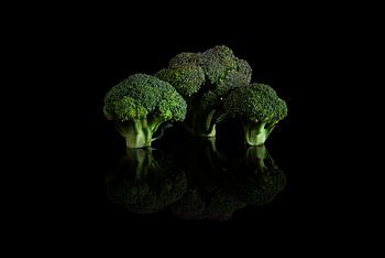 Broccoli #3