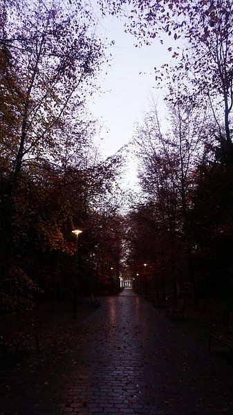 Wandelen in het park. van fotograaf chaimaa
