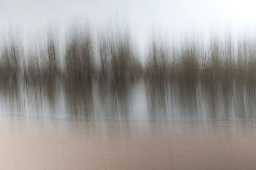 Battements de cœur de la nature par Marcel Borgstijn