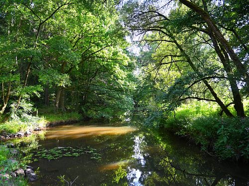 Langs de rivier