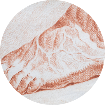 Zijaanzicht van een voet met de bloedvaten heel duidelijk aanwezig in rood krijt op papier van Henk Vrieselaar