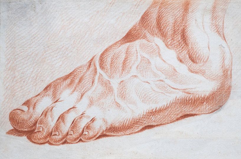 Seitenansicht eines Fußes mit sehr deutlich vorhandenen Blutgefäßen in Rötel auf Papier von Henk Vrieselaar