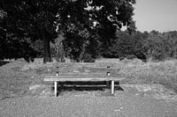 Die Natur entdecken in einem Waldgebiet im Emsland, Niedersachsen, Deutschland
