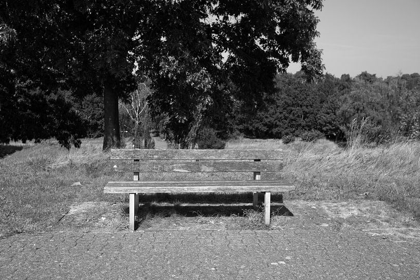 Die Natur entdecken in einem Waldgebiet im Emsland, Niedersachsen, Deutschland von Bianca Meyering Fotos - BMF