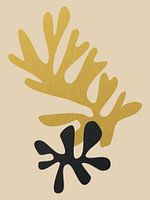 Inspired by Henri Matisse