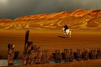 Run towards the light