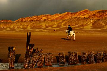 Run towards the light by Arjen Kruisman