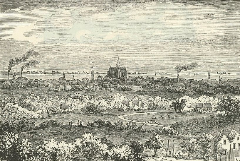 View on Haarlem, Alexander Cranendoncq by Masterful Masters