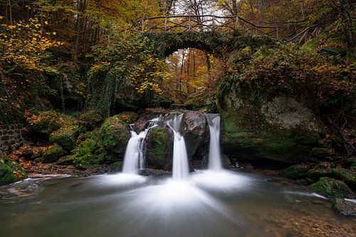 Autumn in the Mullerthal, Luxembourg