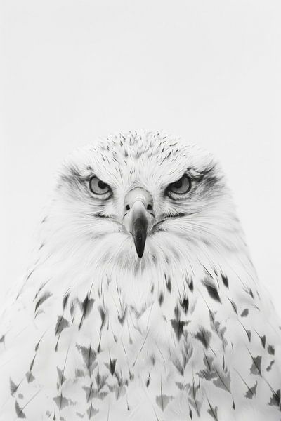 Eagle by Poster Art Shop