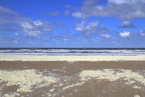 Strand von Zandvoort
