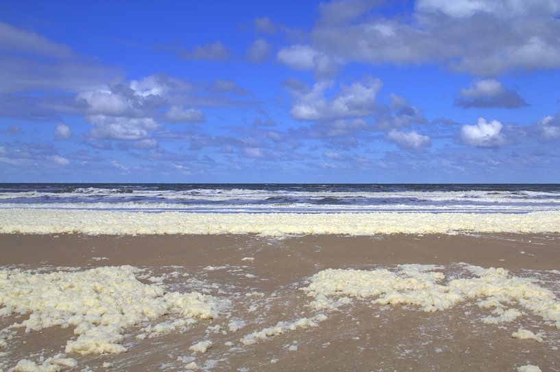 Beach of Zandvoort by Jose Lok