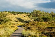 Landschaft in den Dünen auf der Insel Amrum van Rico Ködder thumbnail