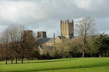 Cathédrale de Wells sur Richard Wareham