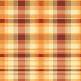 Vintage Plaid # XLII by Whale & Sons