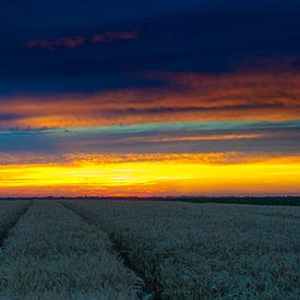 zonsondergang van tom Lammens