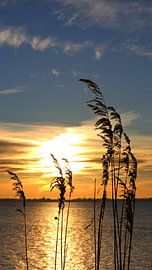 Morning mood on the Bodden by Ostsee Bilder