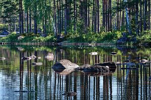 Schweden Gelassenheit 13